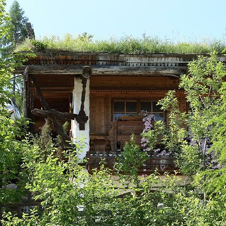 Chalet Alm Planai Schladming Dış mekan fotoğraf