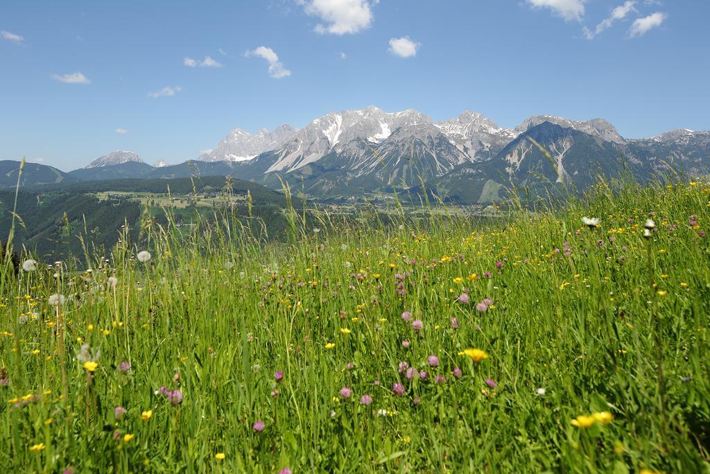 Chalet Alm Planai Schladming Dış mekan fotoğraf